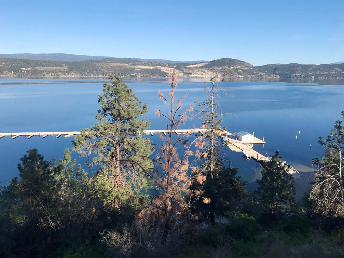 Cozystay Signature Lake Okanagan Resort Kelowna Kültér fotó